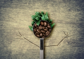 Кофе с брокколи: ученые создают новый способ съесть больше зелени